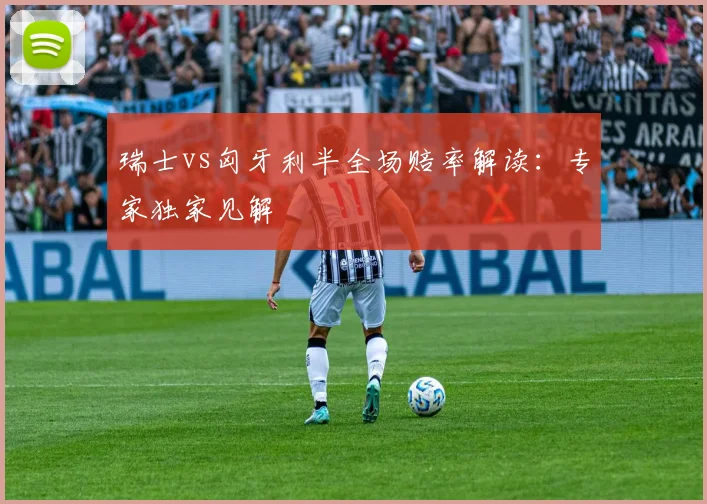 瑞士vs匈牙利半全场赔率解读：专家独家见解